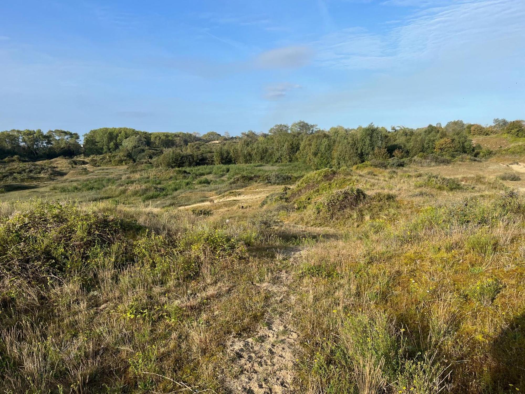 Apartament Logies La Parmentiere De Panne Zewnętrze zdjęcie